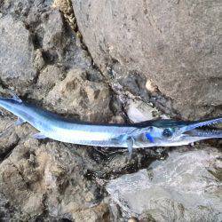 違うねんなぁ…